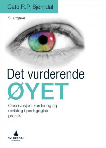 Det vurderende øyet av Cato R.P. Bjørndal (Heftet)