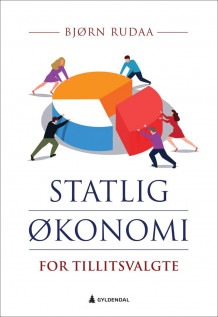Statlig økonomi for tillitsvalgte av Bjørn Kristian Rudaa (Heftet)