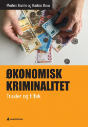 Økonomisk kriminalitet av Morten Bamle og Barbro Bruu (Heftet)