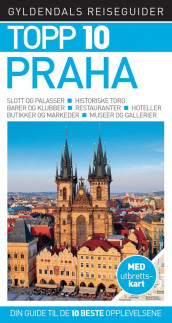 Praha av Theodore Schwinke (Heftet)