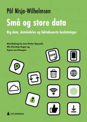 Små og store data av Pål Nisja-Wilhelmsen (Heftet)