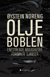 Oljeboblen av Øystein Noreng (Ebok)