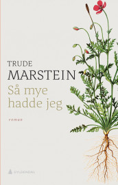 Så mye hadde jeg av Trude Marstein (Innbundet)