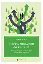Kultur, migrasjon og traumer av Karin Holt (Heftet)