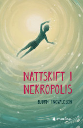 Nattskift i Nekropolis av Bjørn Ingvaldsen (Innbundet)
