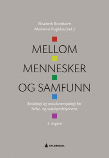 Mellom mennesker og samfunn av Elisabeth Brodtkorb og Marianne Rugkåsa (Heftet)