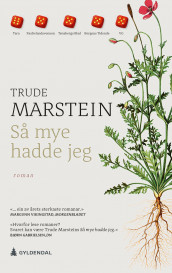 Så mye hadde jeg av Trude Marstein (Heftet)