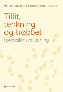 Tillit, tenkning og trøbbel i profesjonsveiledning av Ann Sofi Larsen, Geir S. Luthen og Bente Ulla (Heftet)