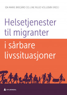 Helsetjenester til migranter i sårbare livssituasjoner av Ida Marie Bregård og Line Ruud Vollebæk (Heftet)