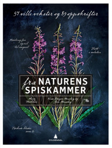Fra naturens spiskammer av Anne Mæhlum, Nina Dreyer Hensley og Jim Hensley (Heftet)
