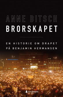 Brorskapet av Anne Bitsch (Innbundet)