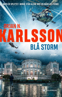 Blå storm av Ørjan N. Karlsson (Ebok)