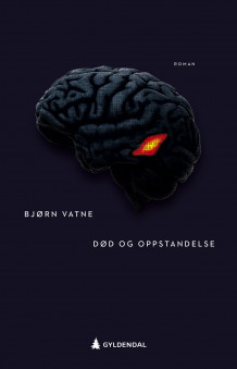 Død og oppstandelse av Bjørn Vatne (Innbundet)