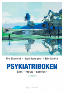 Psykiatriboken av Finn Skårderud, Svein Haugsgjerd og Erik Stänicke (Ebok)