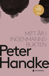 Mitt år i Ingenmannsbukten av Peter Handke (Ebok)