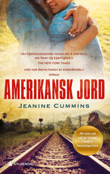 Amerikansk jord av Jeanine Cummins (Ebok)