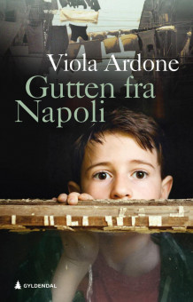 Gutten fra Napoli av Viola Ardone (Innbundet)