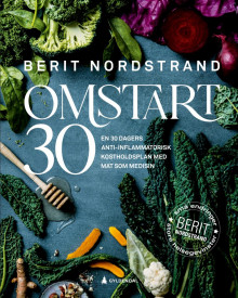 Omstart 30 av Berit Nordstrand (Ebok)