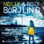 Mørket imellom oss av Molly Börjlind og Rolf Börjlind (Ebok)