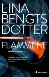 Flammene av Lina Bengtsdotter (Innbundet)