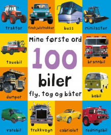 100 biler, fly, tog og båter (Kartonert)