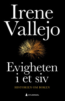 Evigheten i et siv av Irene Vallejo (Ebok)