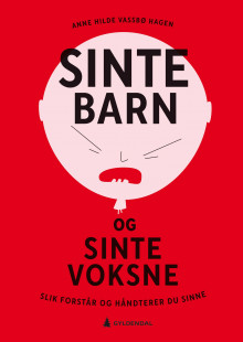 Sinte barn og sinte voksne av Anne Hilde Vassbø Hagen (Innbundet)