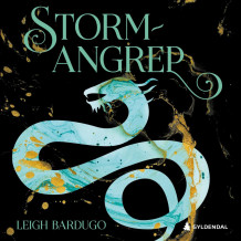 Stormangrep av Leigh Bardugo (Nedlastbar lydbok)
