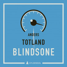 Blindsone av Anders Totland (Nedlastbar lydbok)