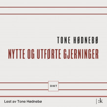 Nytte og utførte gjerninger av Tone Hødnebø (Nedlastbar lydbok)
