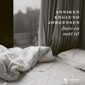 Bare en natt til av Anniken Englund Jørgensen (Nedlastbar lydbok)