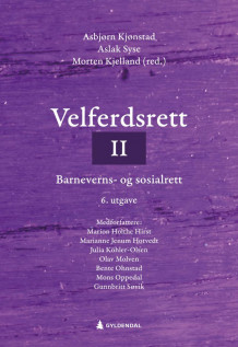 Velferdsrett II av Asbjørn Kjønstad, Aslak Syse og Morten Kjelland (Heftet)
