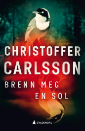 Brenn meg en sol av Christoffer Carlsson (Ebok)