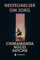 Nedtegnelser om sorg av Chimamanda Ngozi Adichie (Innbundet)