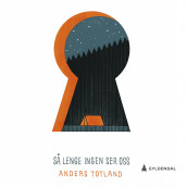 Så lenge ingen ser oss av Anders Totland (Nedlastbar lydbok)