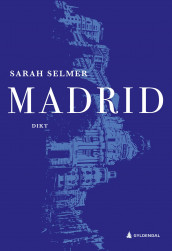 Madrid av Sarah Selmer (Innbundet)