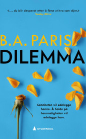 Dilemma av B.A. Paris (Heftet)