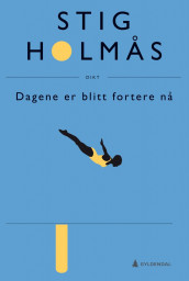 Dagene er blitt fortere nå av Stig Holmås (Innbundet)