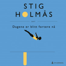 Dagene er blitt fortere nå av Stig Holmås (Nedlastbar lydbok)