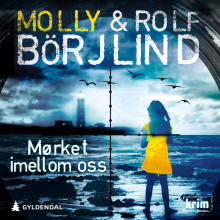 Mørket imellom oss av Molly Börjlind og Rolf Börjlind (Nedlastbar lydbok)