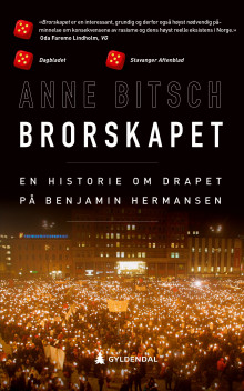 Brorskapet av Anne Bitsch (Heftet)