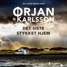 Det siste stykket hjem av Ørjan N. Karlsson (Nedlastbar lydbok)