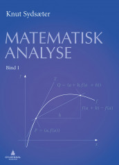 Matematisk analyse av Knut Sydsæter (Ebok)
