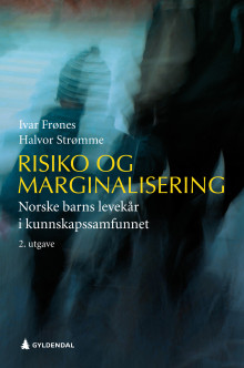 Risiko og marginalisering av Ivar Frønes og Halvor Strømme (Ebok)