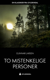 To mistenkelige personer av Gunnar Larsen (Heftet)