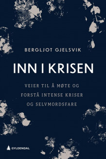 Inn i krisen av Bergljot Gjelsvik (Innbundet)