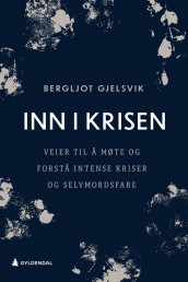 Inn i krisen av Bergljot Gjelsvik (Ebok)