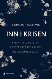 Inn i krisen av Bergljot Gjelsvik (Ebok)