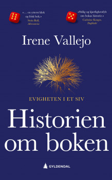 Historien om boken av Irene Vallejo (Heftet)