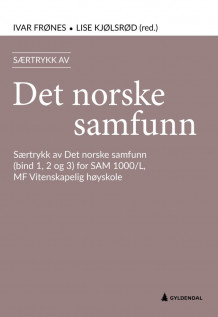 Det norske samfunn av Ivar Frønes og Lise Kjølsrød (Heftet)